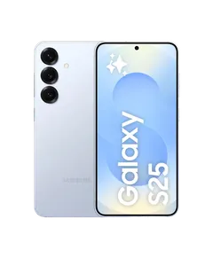 Samsung Galaxy S25
